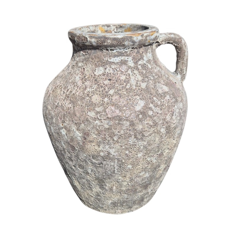 Silver jug planter